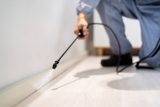 Licensed Mosquito Control service in Ester, AK - Nex Pest Control
