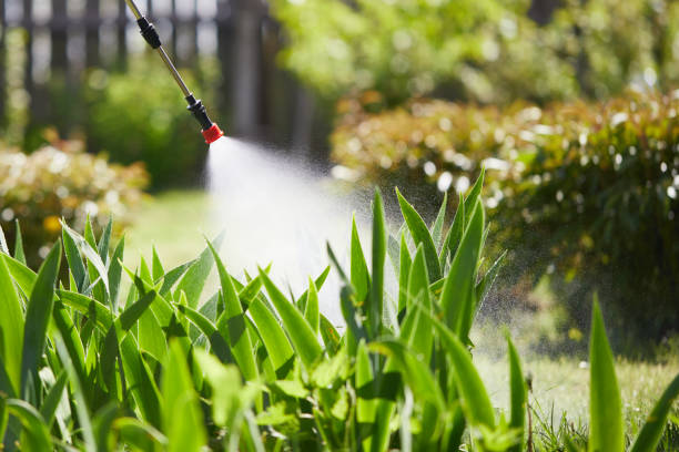 24/7 Emergency Mosquito Control experts in Ester, AK