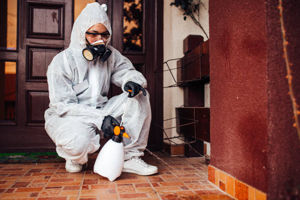 Reliable Mosquito Control contractor in Ester, AK by Nex Pest Control