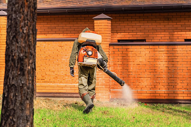 Top rated local Mosquito Control specialists in Ester, AK